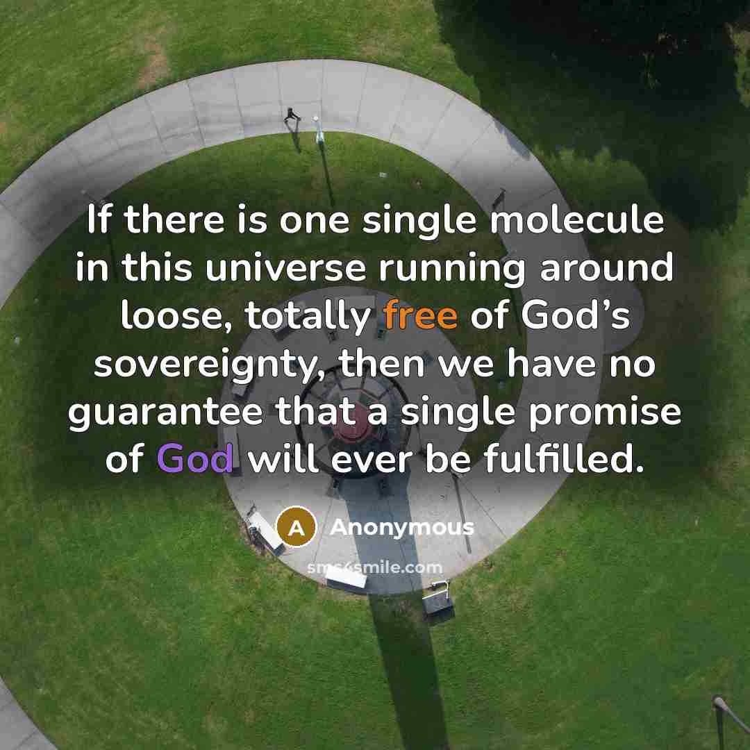 “If there is one single molecule in this universe running around loose, totally free of God’s sovereignty, then we have no guarantee that a single promise of God will ever be fulfilled.” quote by Anonymous