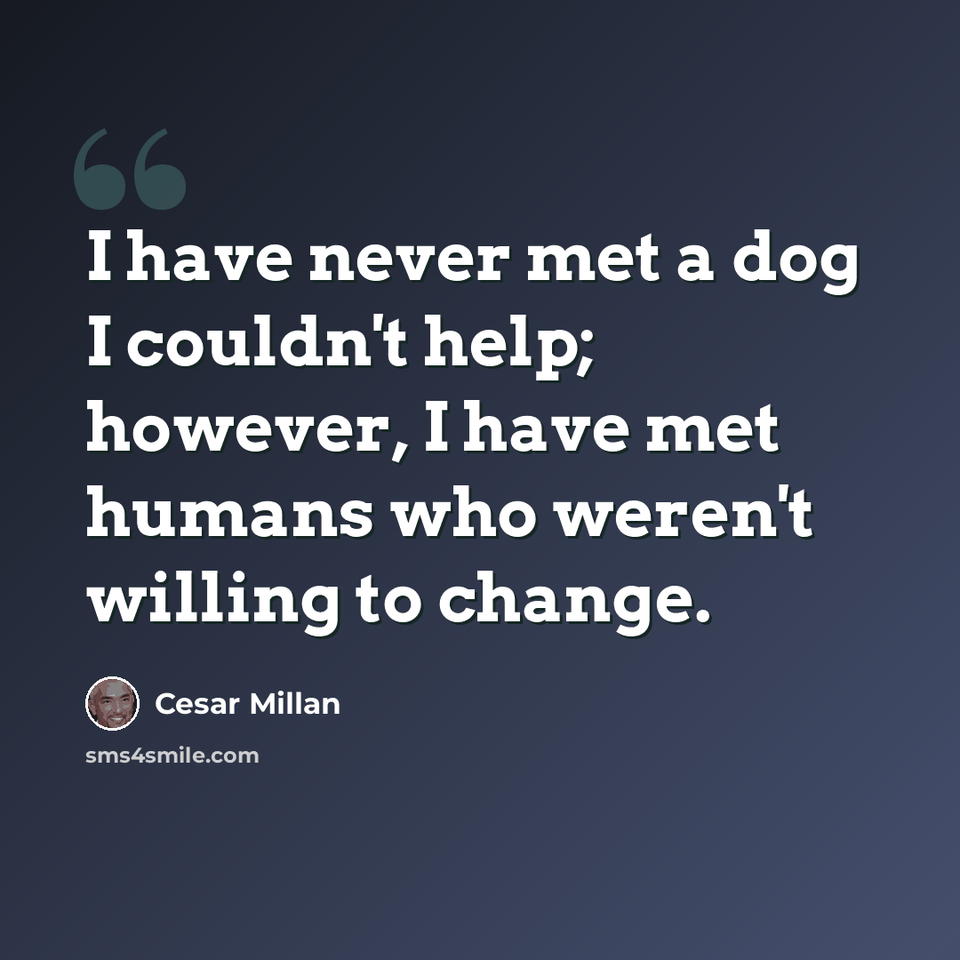 “I have never met a dog I couldn't help; however, I have met humans who weren't willing to change.” quote by Cesar Millan