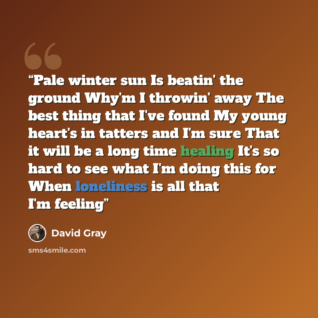 “Pale winter sun Is beatin' the ground Why'm I throwin' away The best thing that I've found My young heart's in tatters and I'm sure That it will be a long time healing It's so hard to see what I'm doing this for When loneliness is all that I'm feeling” quote by David gray