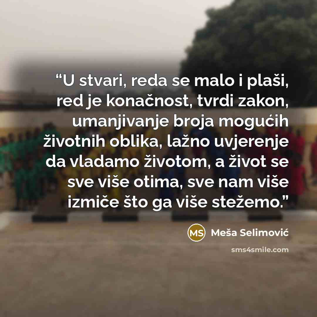 “U stvari, reda se malo i plaši, red je konačnost, tvrdi zakon, umanjivanje broja mogućih životnih oblika, lažno uvjerenje da vladamo životom, a život se sve više otima, sve nam više izmiče što ga više stežemo.” quote by Meša Selimović