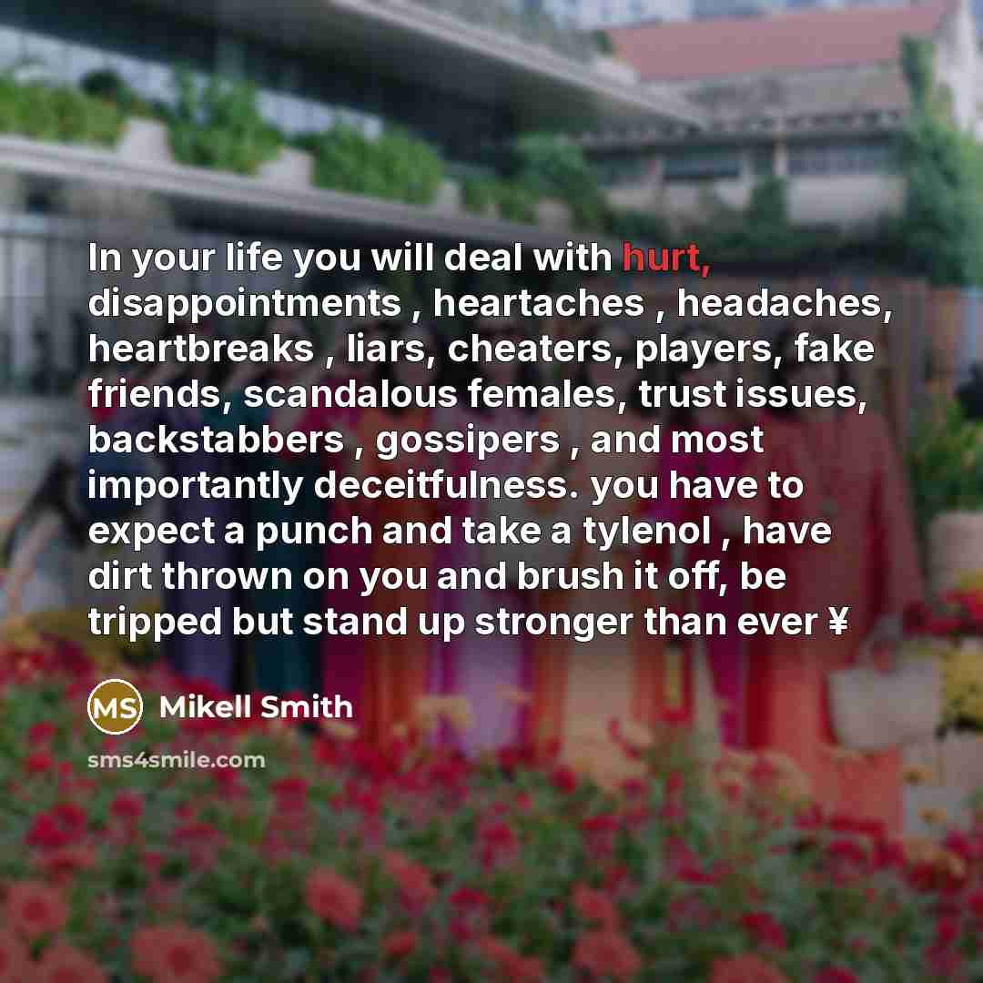 “In your life you will deal with hurt, disappointments , heartaches , headaches, heartbreaks , liars, cheaters, players, fake friends, scandalous females, trust issues, backstabbers , gossipers , and most importantly deceitfulness. you have to expect a punch and take a tylenol , have dirt thrown on…” quote by Mikell Smith