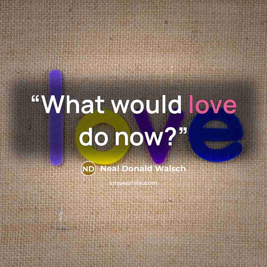 “What would love do now?” quote by Neal Donald Walsch