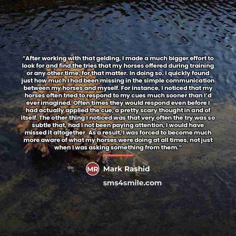 “After working with that gelding, I made a much bigger effort to look for and find the tries that my horses offered during training or any other time, for that matter. In doing so, I quickly found just how much I had been missing in the simple communication between my horses and myself. For…” quote by Mark Rashid