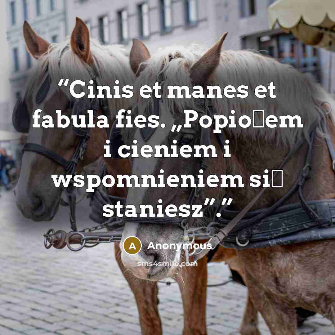 “Cinis et manes et fabula fies. „Popiołem i cieniem i wspomnieniem się staniesz”.” quote by Anonymous