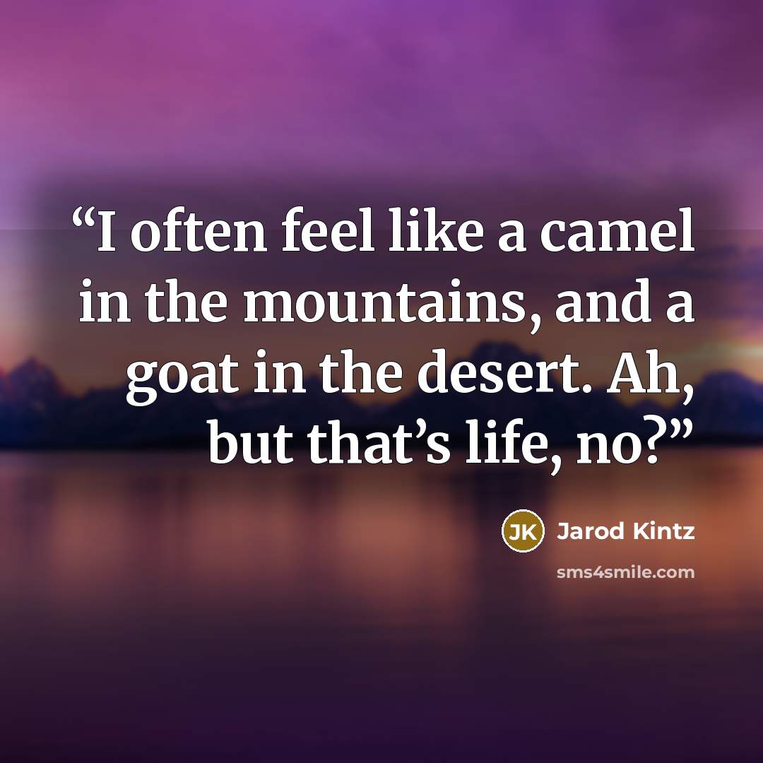 “I often feel like a camel in the mountains, and a goat in the desert. Ah, but that’s life, no?” quote by Jarod Kintz