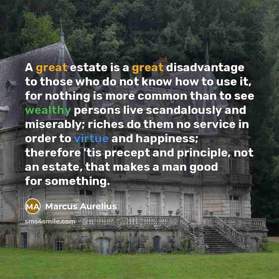 “A great estate is a great disadvantage to those who do not know how to use it, for nothing is more common than to see wealthy persons live scandalously and miserably; riches do them no service in order to virtue and happiness; therefore 'tis precept and principle, not an estate, that makes a man…” quote by Marcus Aurelius