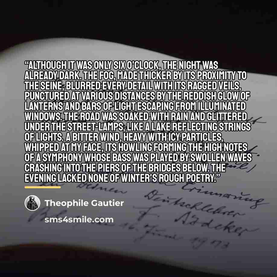 “Although it was only six o'clock, the night was already dark. The fog, made thicker by its proximity to the Seine, blurred every detail with its ragged veils, punctured at various distances by the reddish glow of lanterns and bars of light escaping from illuminated windows. The road was soaked…” quote by Théophile Gautier