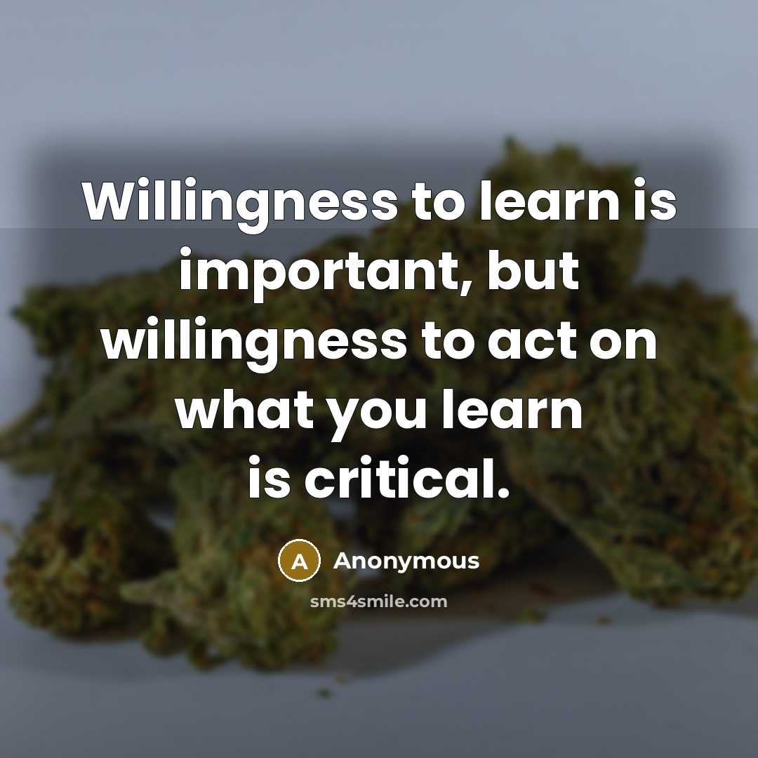 “Willingness to learn is important, but willingness to act on what you learn is critical.” quote by Anonymous