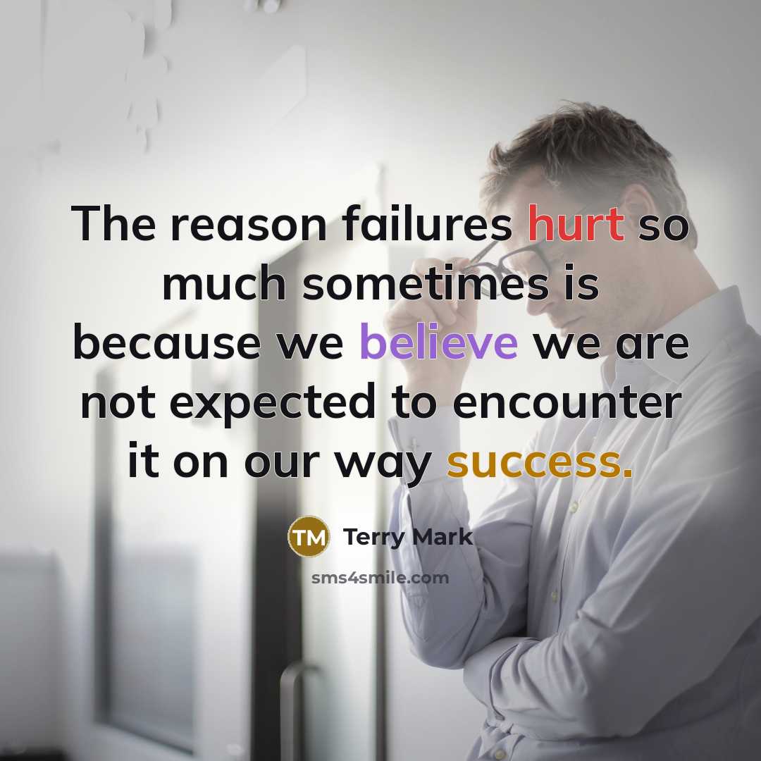 “The reason failures hurt so much sometimes is because we believe we are not expected to encounter it on our way success.” quote by Terry Mark