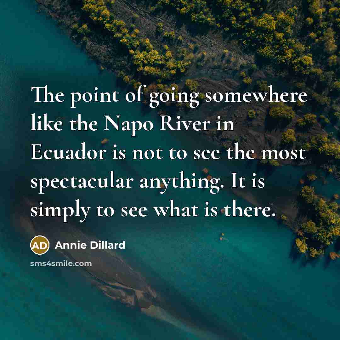 “The point of going somewhere like the Napo River in Ecuador is not to see the most spectacular anything. It is simply to see what is there.” quote by Annie Dillard