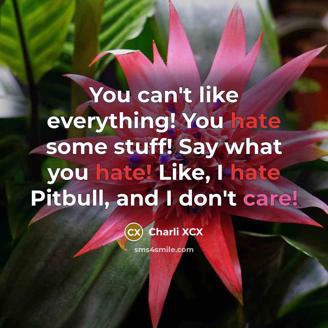 “You can't like everything! You hate some stuff! Say what you hate! Like, I hate Pitbull, and I don't care!” quote by Charli XCX
