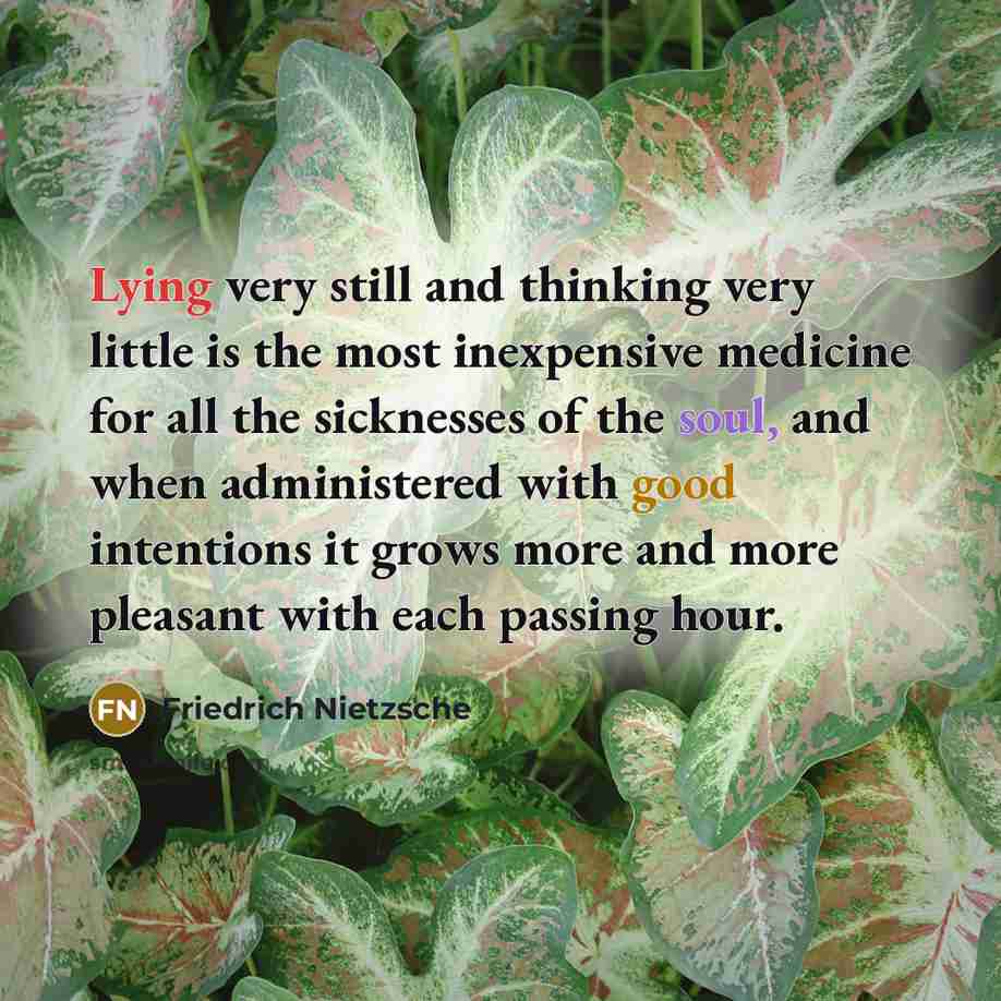 “Lying very still and thinking very little is the most inexpensive medicine for all the sicknesses of the soul, and when administered with good intentions it grows more and more pleasant with each passing hour.” quote by Friedrich Nietzsche