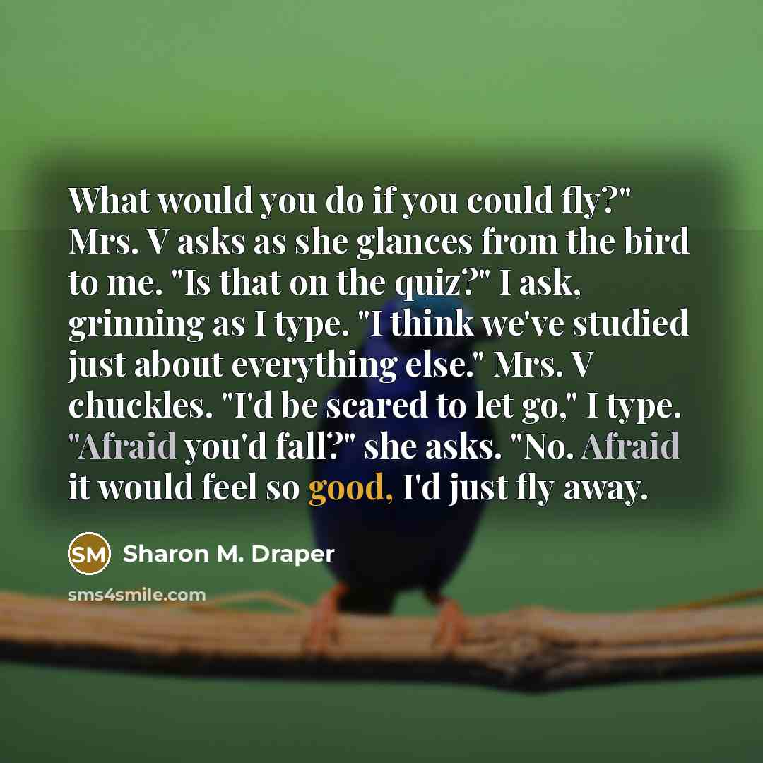 “What would you do if you could fly?" Mrs. V asks as she glances from the bird to me. "Is that on the quiz?" I ask, grinning as I type. "I think we've studied just about everything else." Mrs. V chuckles. "I'd be scared to let go," I type. "Afraid you'd fall?" she asks. "No. Afraid it would feel so…” quote by Sharon M. Draper