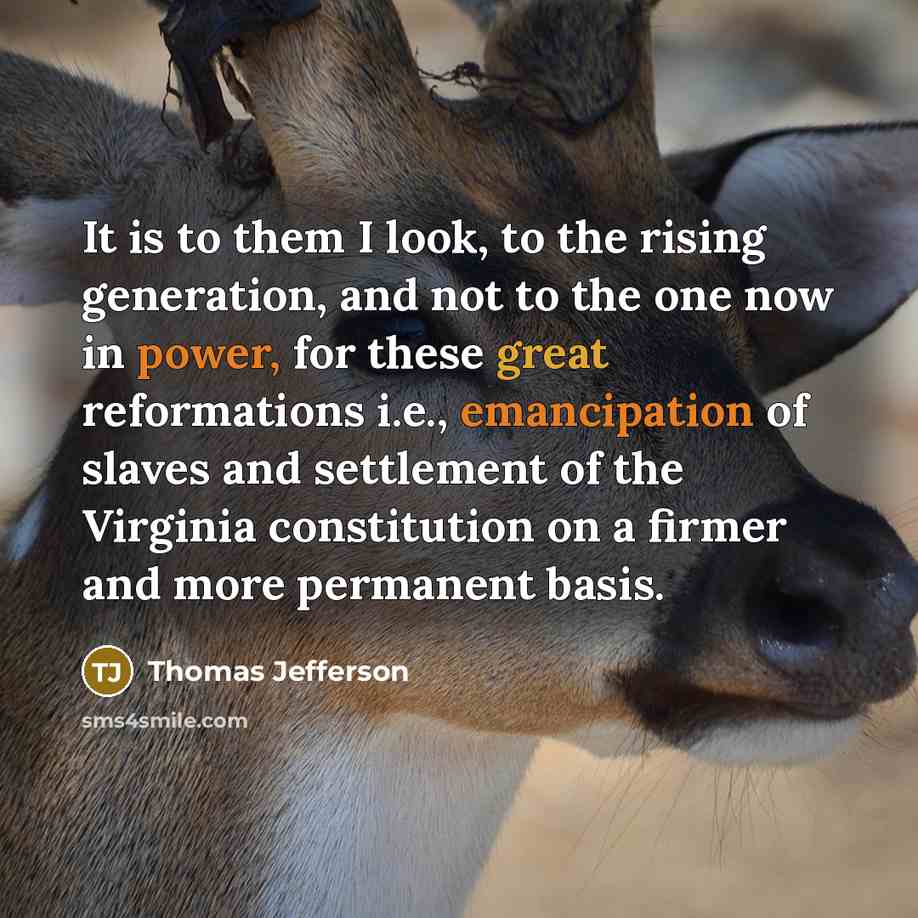 “It is to them I look, to the rising generation, and not to the one now in power, for these great reformations i.e., emancipation of slaves and settlement of the Virginia constitution on a firmer and more permanent basis.” quote by Thomas Jefferson