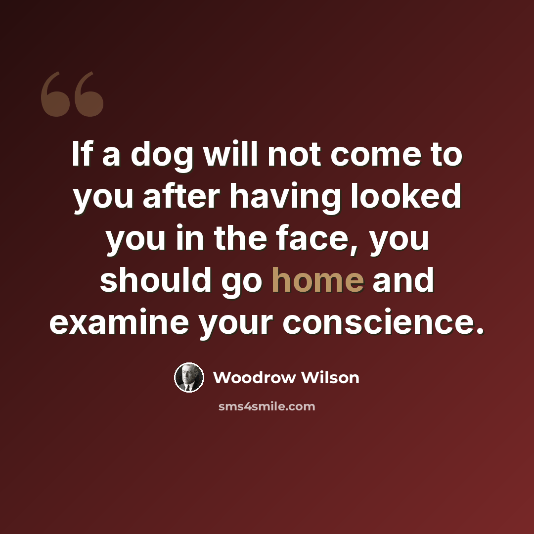 “If a dog will not come to you after having looked you in the face, you should go home and examine your conscience.” quote by Woodrow Wilson