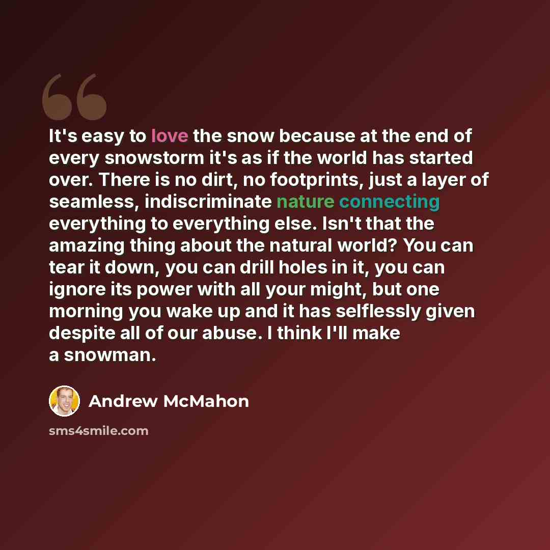 “It's easy to love the snow because at the end of every snowstorm it's as if the world has started over. There is no dirt, no footprints, just a layer of seamless, indiscriminate nature connecting everything to everything else. Isn't that the amazing thing about the natural world? You can tear it…” quote by Andrew McMahon