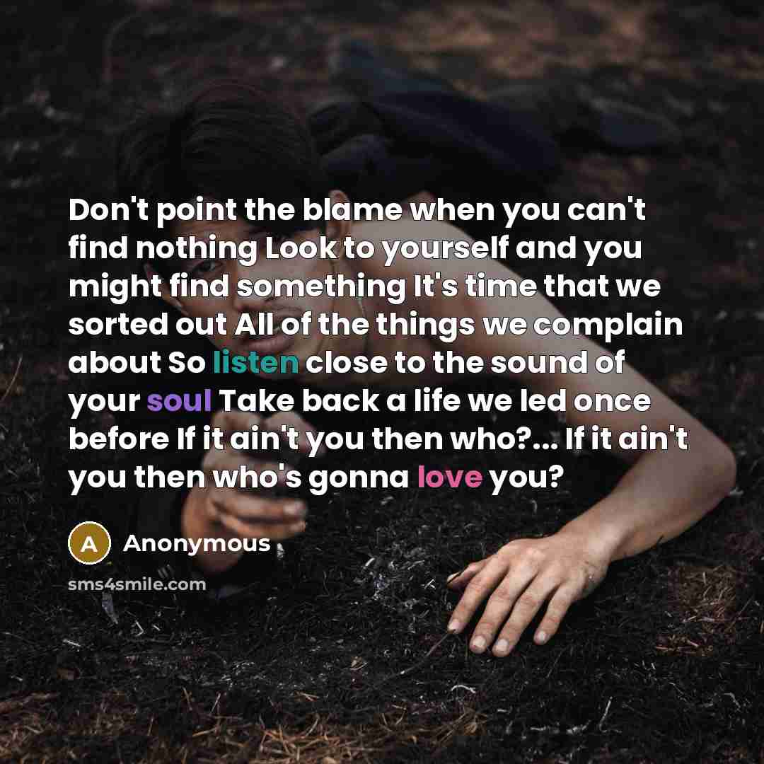 “Don't point the blame when you can't find nothing Look to yourself and you might find something It's time that we sorted out All of the things we complain about So listen close to the sound of your soul Take back a life we led once before If it ain't you then who?... If it ain't you then who's…” quote by Anonymous