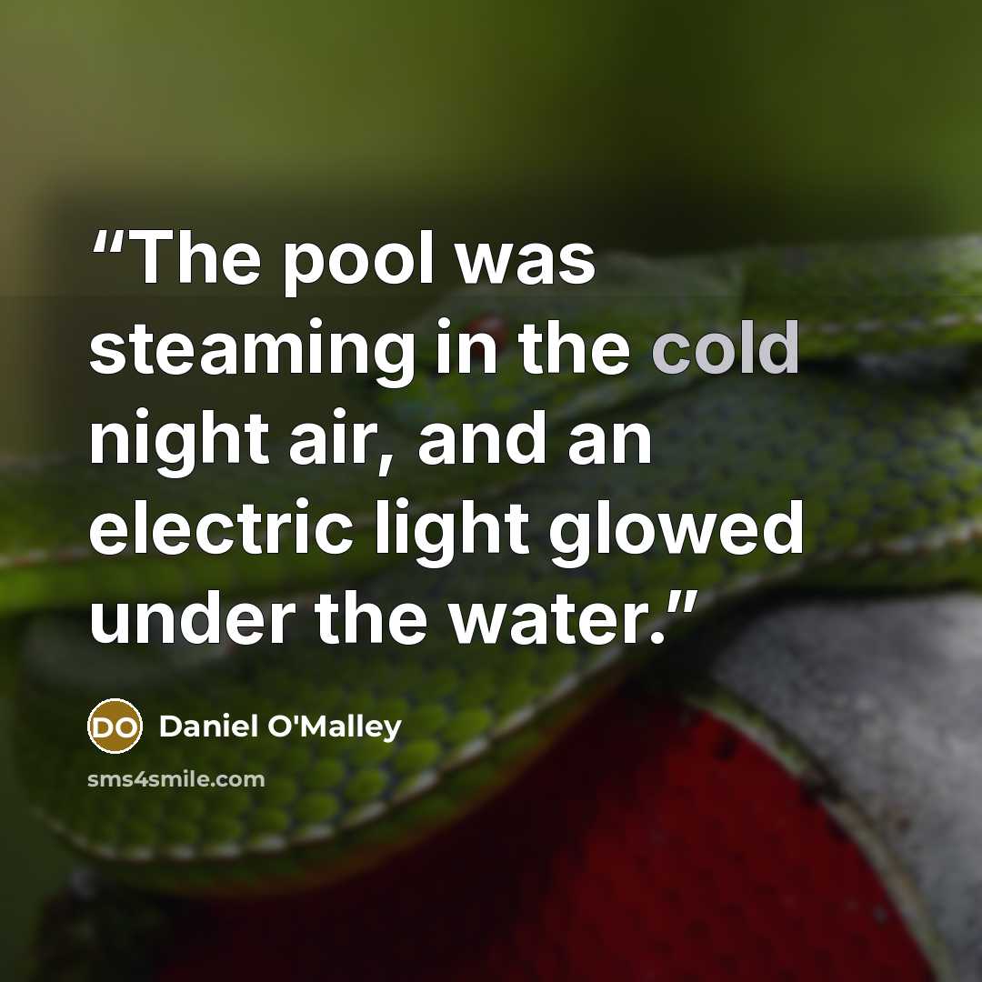 “The pool was steaming in the cold night air, and an electric light glowed under the water.” quote by Daniel O'Malley