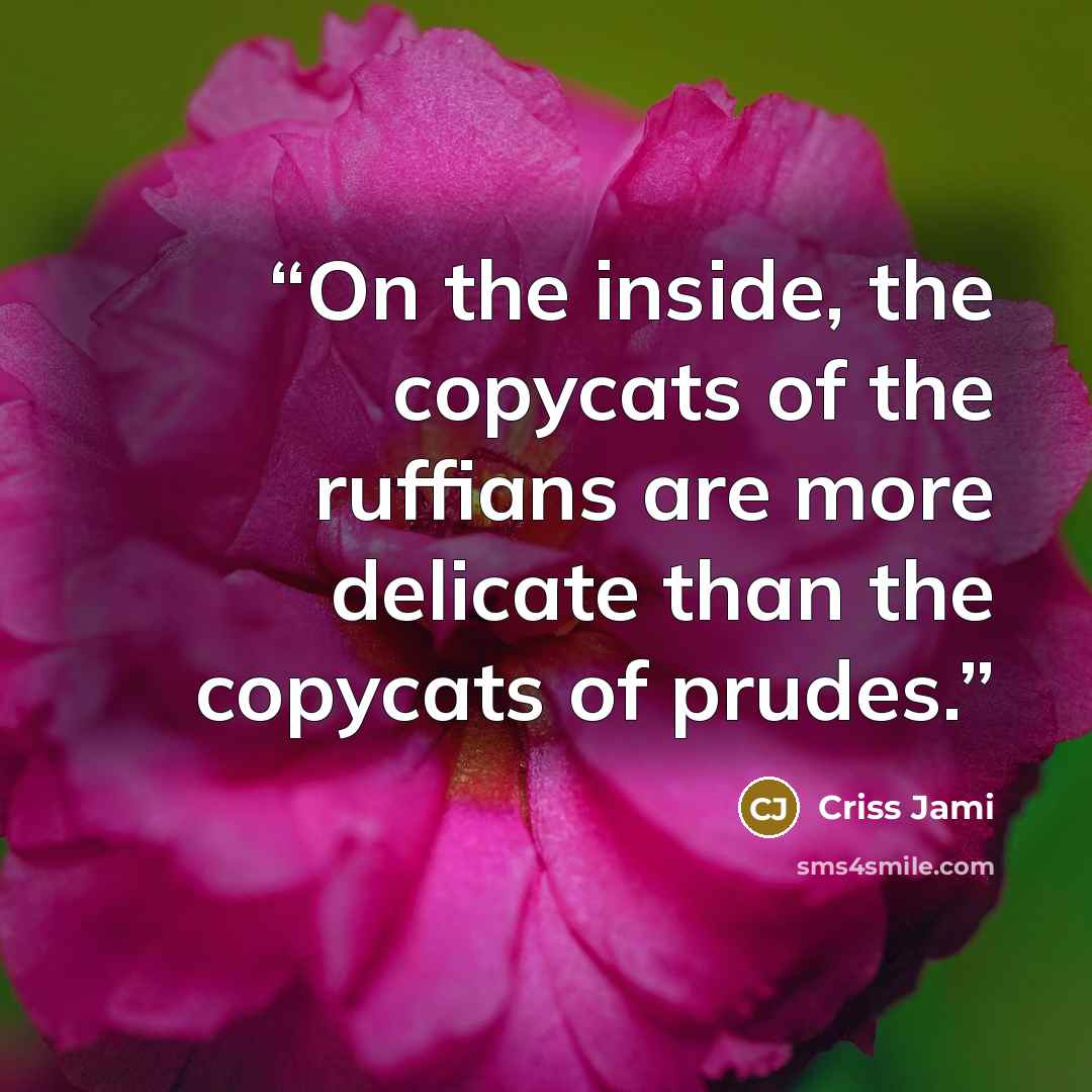 “On the inside, the copycats of the ruffians are more delicate than the copycats of prudes.” quote by Criss Jami