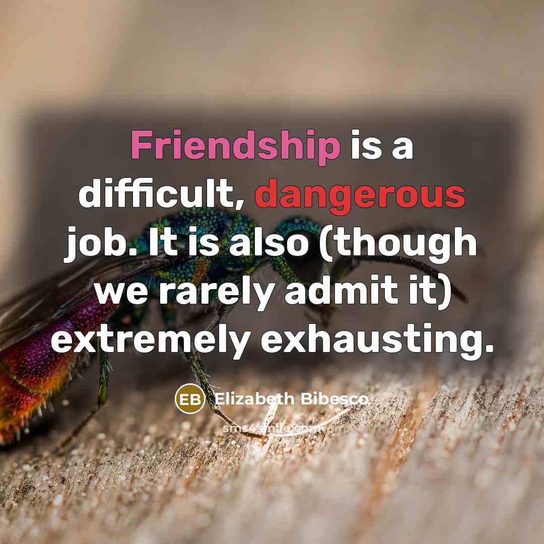 “Friendship is a difficult, dangerous job. It is also (though we rarely admit it) extremely exhausting.” quote by Elizabeth Bibesco
