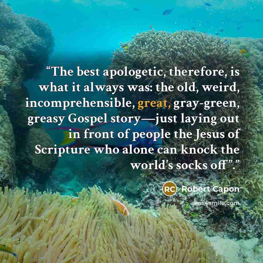 “The best apologetic, therefore, is what it always was: the old, weird, incomprehensible, great, gray-green, greasy Gospel story—just laying out in front of people the Jesus of Scripture who alone can knock the world’s socks off”.” quote by Robert Capon