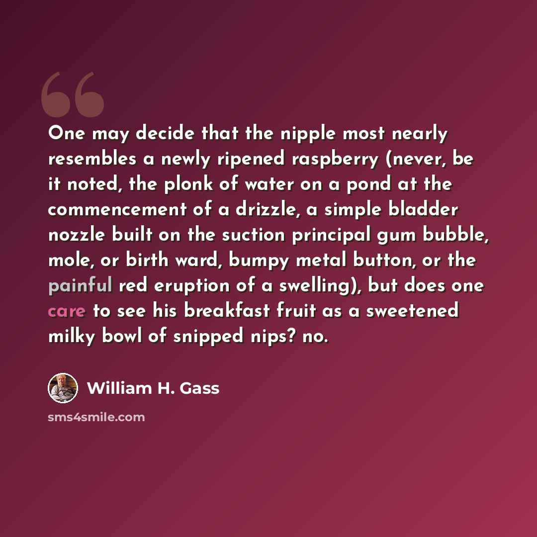 “One may decide that the nipple most nearly resembles a newly ripened raspberry (never, be it noted, the plonk of water on a pond at the commencement of a drizzle, a simple bladder nozzle built on the suction principal gum bubble, mole, or birth ward, bumpy metal button, or the painful red eruption…” quote by William H. Gass