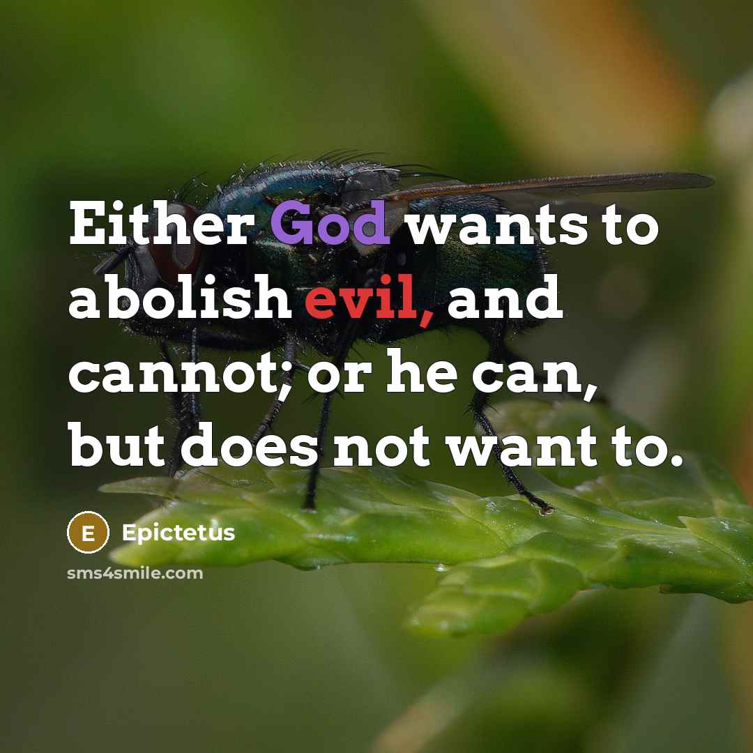 “Either God wants to abolish evil, and cannot; or he can, but does not want to.” quote by Epictetus