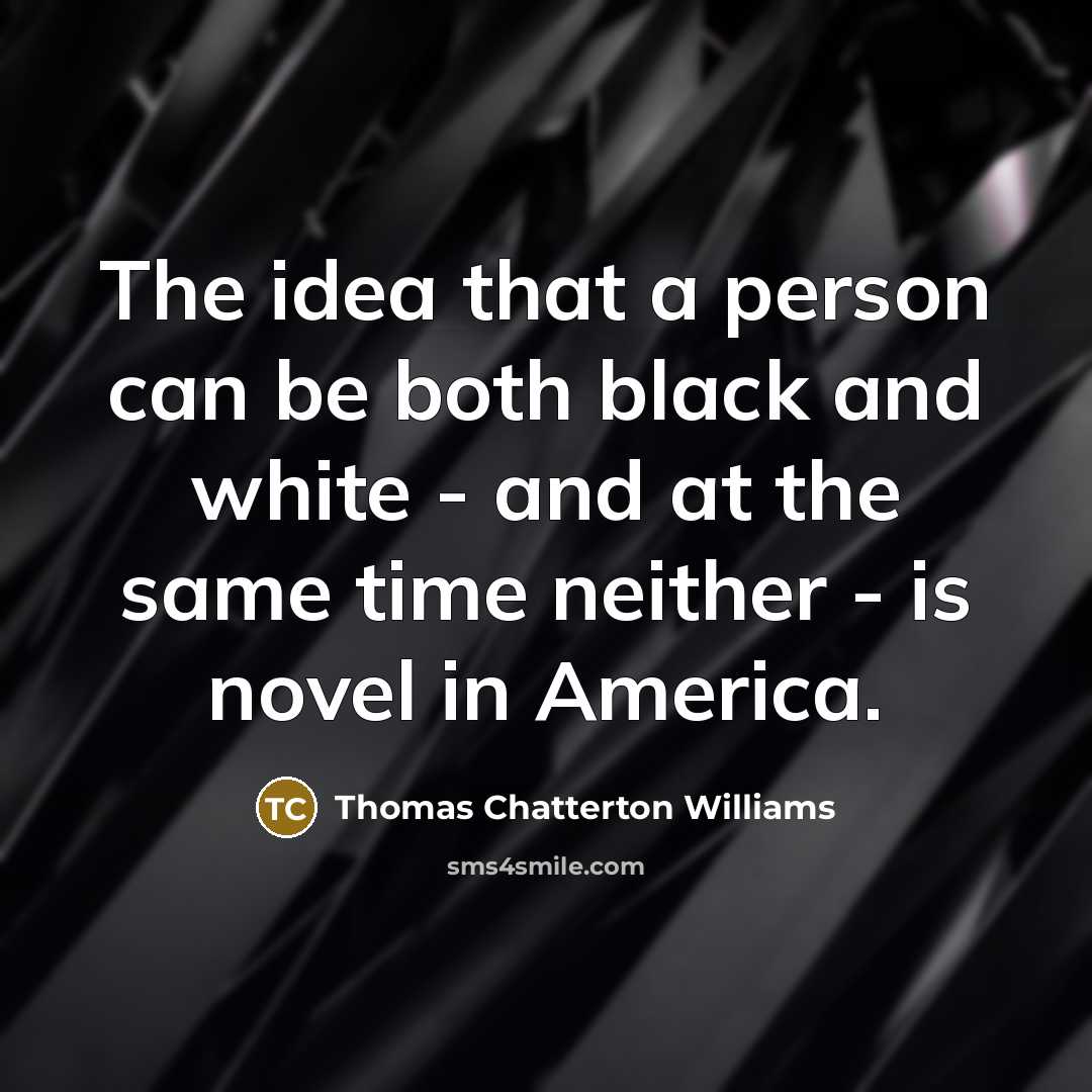 “The idea that a person can be both black and white - and at the same time neither - is novel in America.” quote by Thomas Chatterton Williams