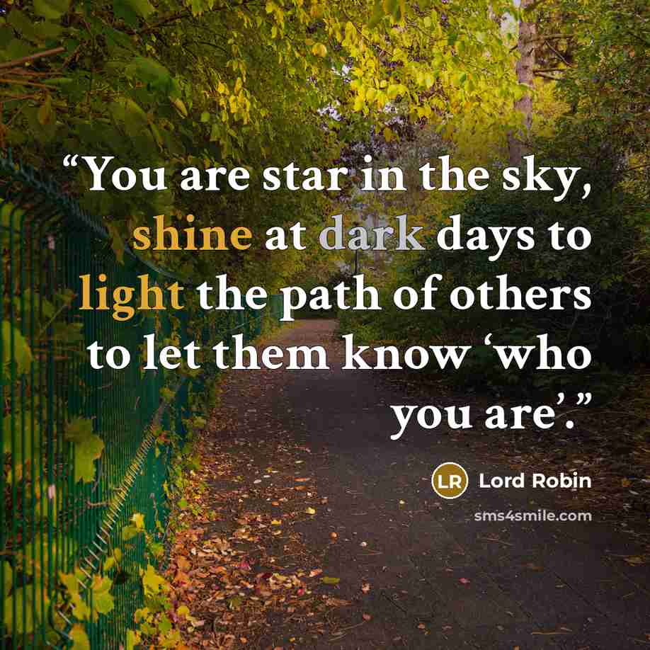 “You are star in the sky, shine at dark days to light the path of others to let them know ‘who you are’.” quote by Lord Robin
