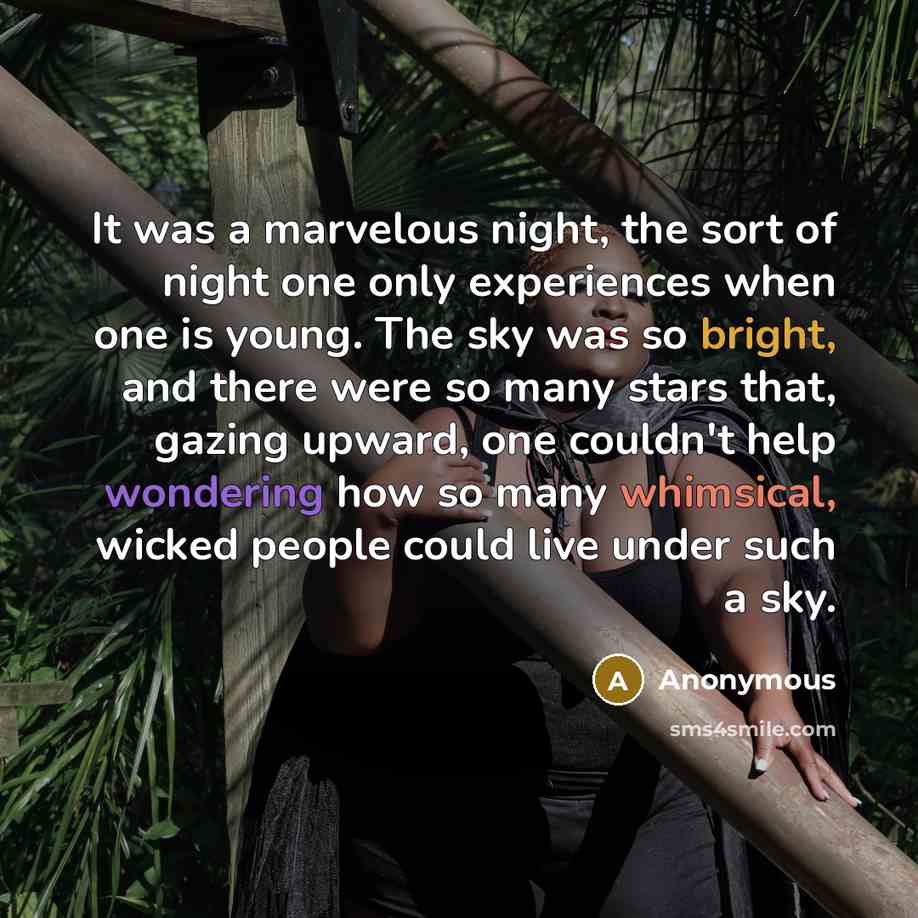 “It was a marvelous night, the sort of night one only experiences when one is young. The sky was so bright, and there were so many stars that, gazing upward, one couldn't help wondering how so many whimsical, wicked people could live under such a sky.” quote by Anonymous