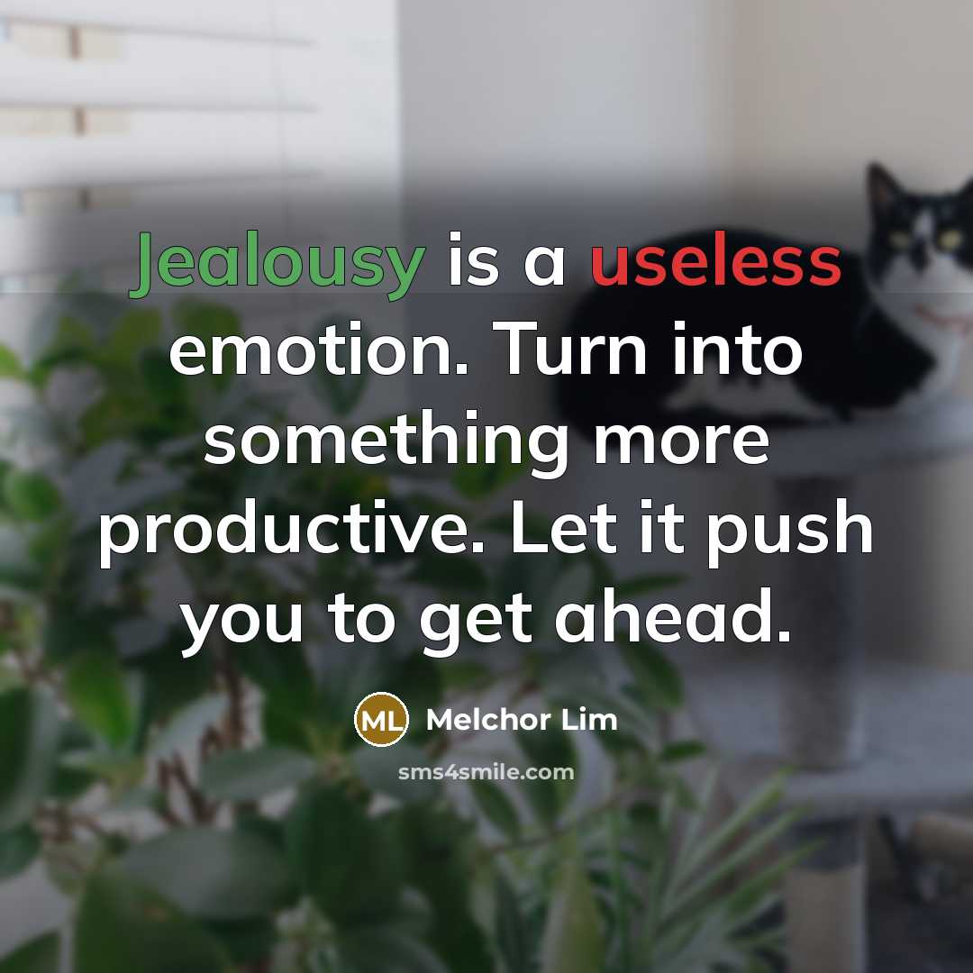 “Jealousy is a useless emotion. Turn into something more productive. Let it push you to get ahead.” quote by Melchor Lim