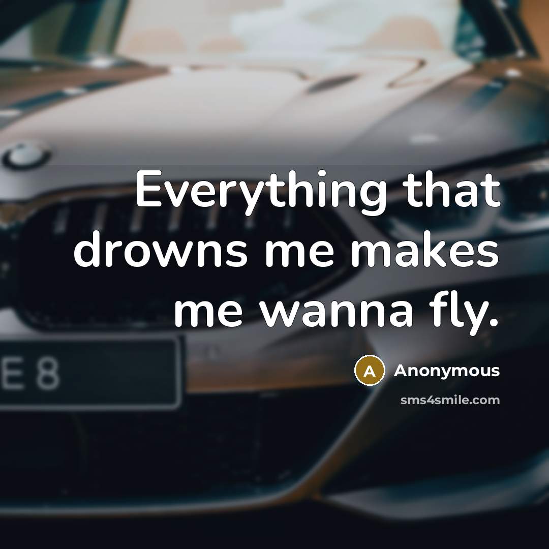 “Everything that drowns me makes me wanna fly.” quote by Anonymous