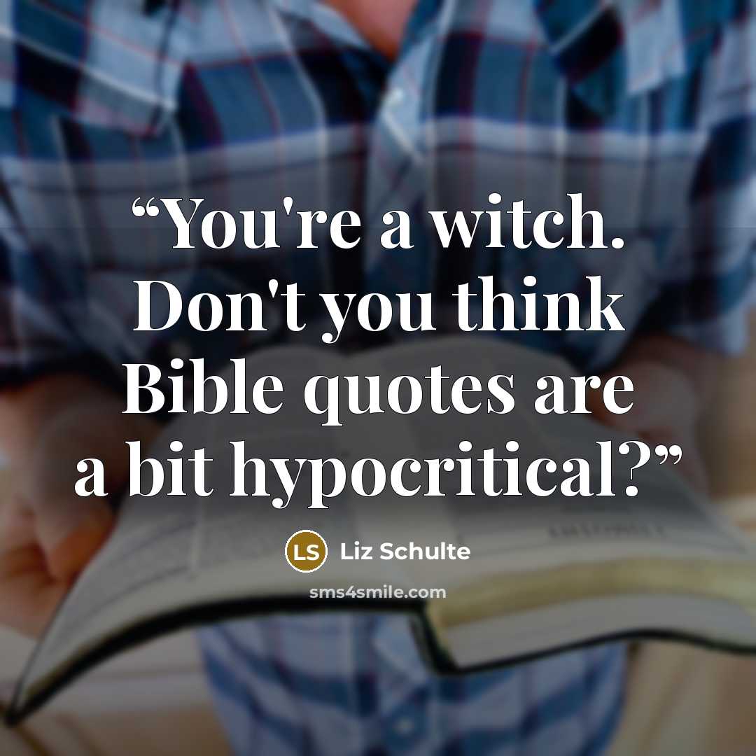 “You're a witch. Don't you think Bible quotes are a bit hypocritical?” quote by Liz Schulte
