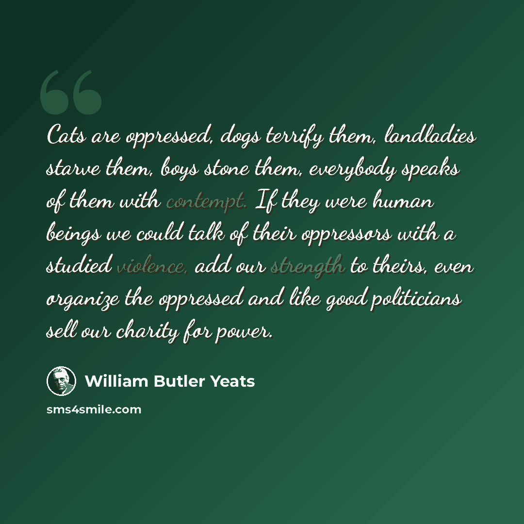 “Cats are oppressed, dogs terrify them, landladies starve them, boys stone them, everybody speaks of them with contempt. If they were human beings we could talk of their oppressors with a studied violence, add our strength to theirs, even organize the oppressed and like good politicians sell our…” quote by William Butler Yeats