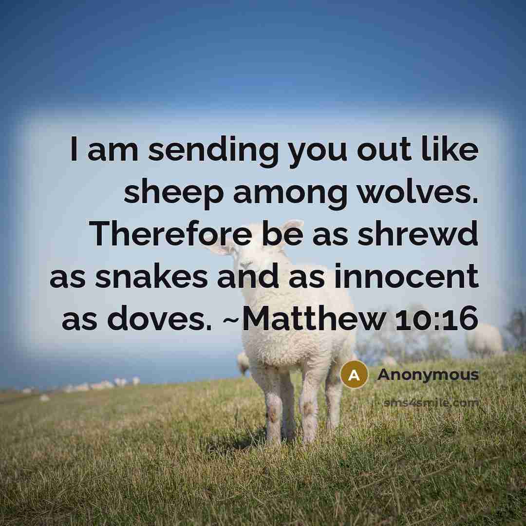 “I am sending you out like sheep among wolves. Therefore be as shrewd as snakes and as innocent as doves. ~Matthew 10:16” quote by Anonymous