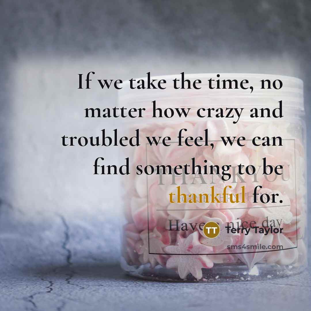 “If we take the time, no matter how crazy and troubled we feel, we can find something to be thankful for.” quote by Terry Taylor