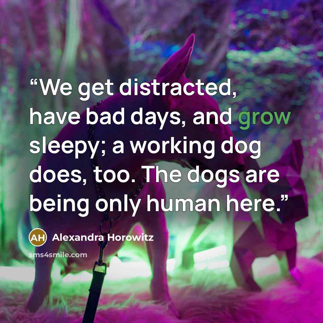 “We get distracted, have bad days, and grow sleepy; a working dog does, too. The dogs are being only human here.” quote by Alexandra Horowitz