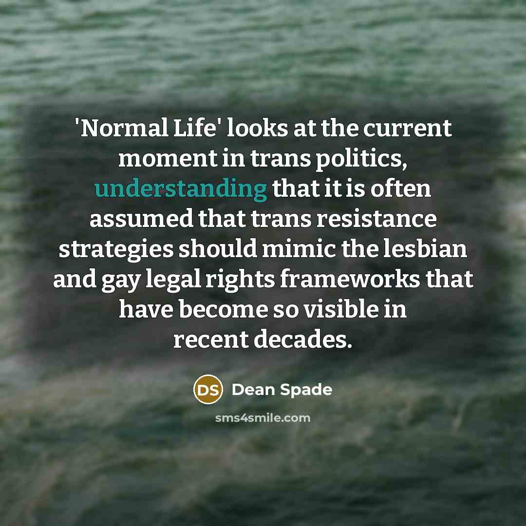 “'Normal Life' looks at the current moment in trans politics, understanding that it is often assumed that trans resistance strategies should mimic the lesbian and gay legal rights frameworks that have become so visible in recent decades.” quote by Dean Spade
