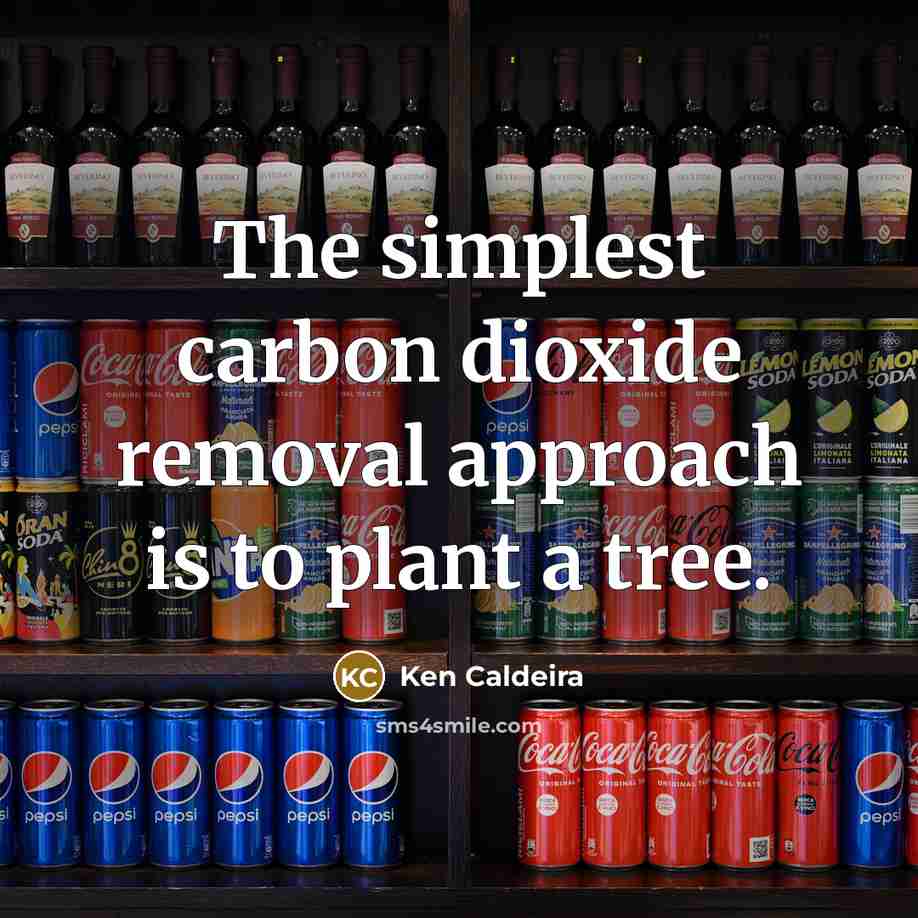 “The simplest carbon dioxide removal approach is to plant a tree.” quote by Ken Caldeira