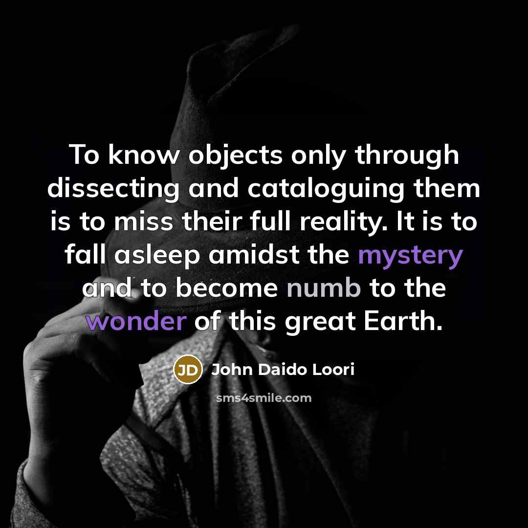 “To know objects only through dissecting and cataloguing them is to miss their full reality. It is to fall asleep amidst the mystery and to become numb to the wonder of this great Earth.” quote by John Daido Loori
