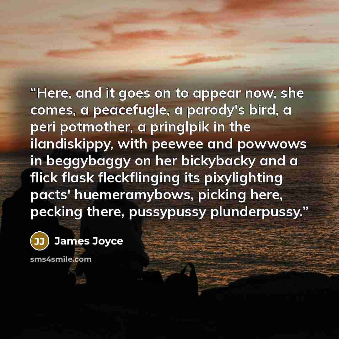“Here, and it goes on to appear now, she comes, a peacefugle, a parody's bird, a peri potmother, a pringlpik in the ilandiskippy, with peewee and powwows in beggybaggy on her bickybacky and a flick flask fleckflinging its pixylighting pacts' huemeramybows, picking here, pecking there, pussypussy…” quote by James Joyce