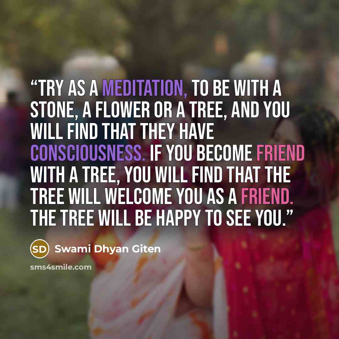 “Try as a meditation, to be with a stone, a flower or a tree, and you will find that they have consciousness. If you become friend with a tree, you will find that the tree will welcome you as a friend. The tree will be happy to see you.” quote by Swami Dhyan Giten