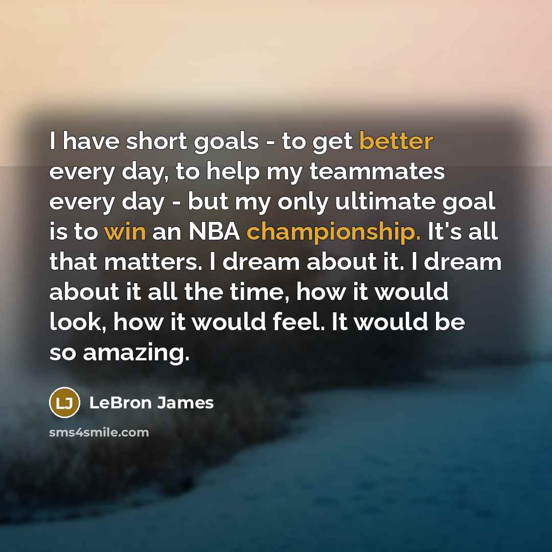 “I have short goals - to get better every day, to help my teammates every day - but my only ultimate goal is to win an NBA championship. It's all that matters. I dream about it. I dream about it all the time, how it would look, how it would feel. It would be so amazing.” quote by LeBron James