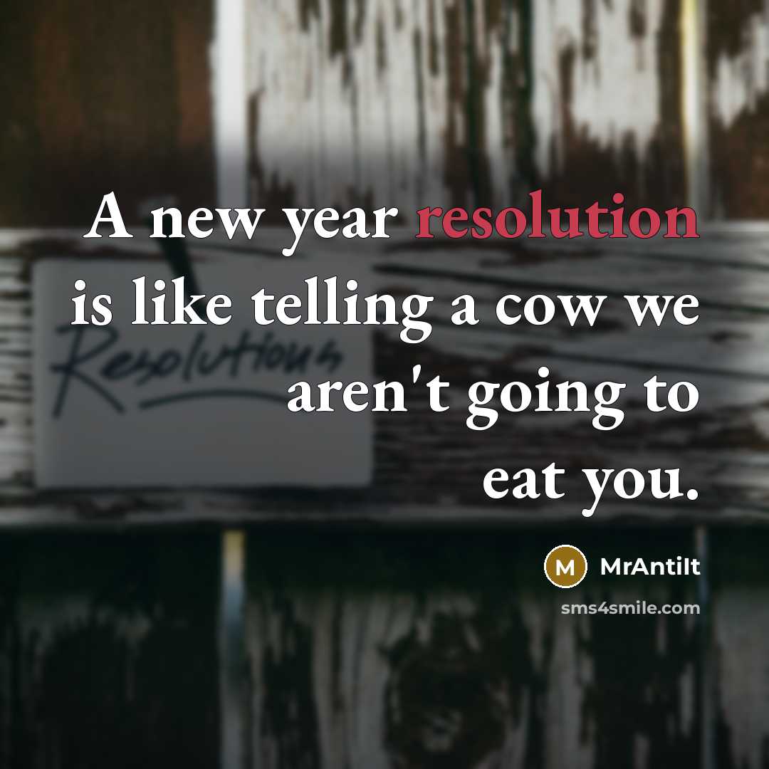 “A new year resolution is like telling a cow we aren't going to eat you.” quote by MrAntiIt