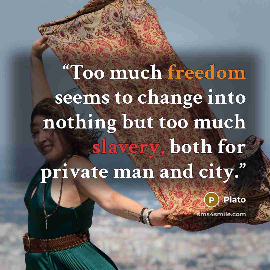 “Too much freedom seems to change into nothing but too much slavery, both for private man and city.” quote by Plato