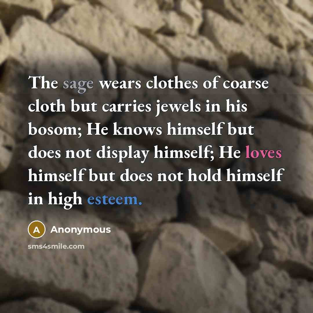 “The sage wears clothes of coarse cloth but carries jewels in his bosom; He knows himself but does not display himself; He loves himself but does not hold himself in high esteem.” quote by Anonymous