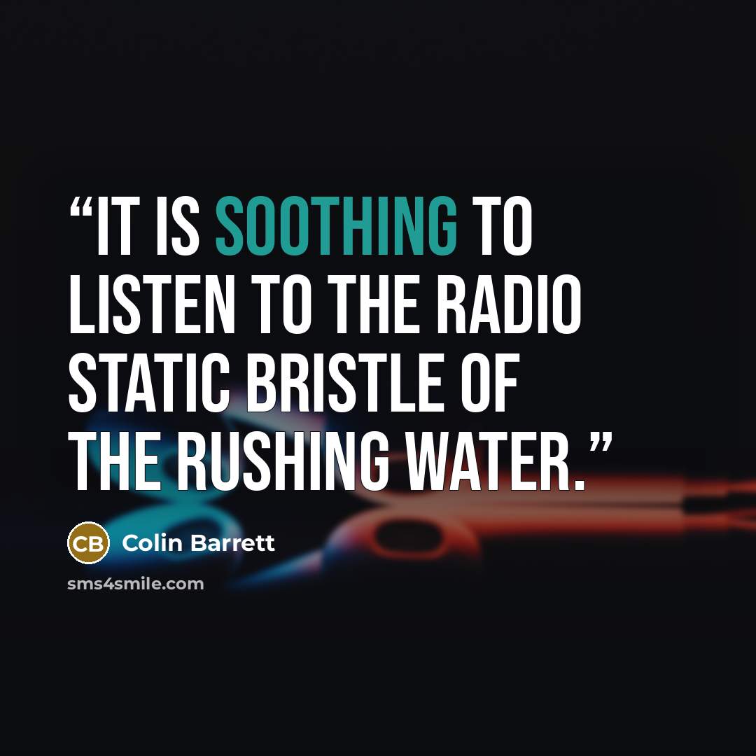 “it is soothing to listen to the radio static bristle of the rushing water.” quote by Colin Barrett