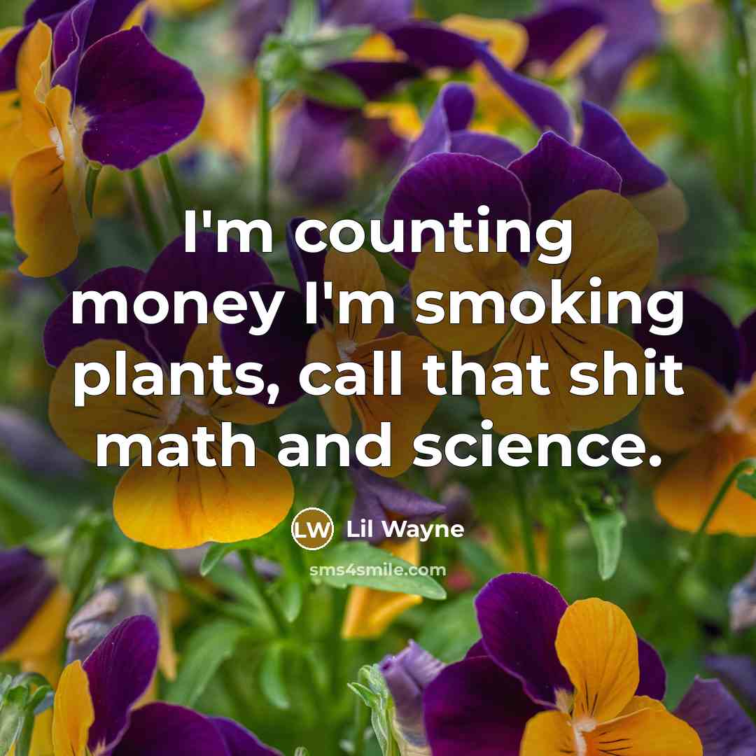 “I'm counting money I'm smoking plants, call that shit math and science.” quote by Lil Wayne