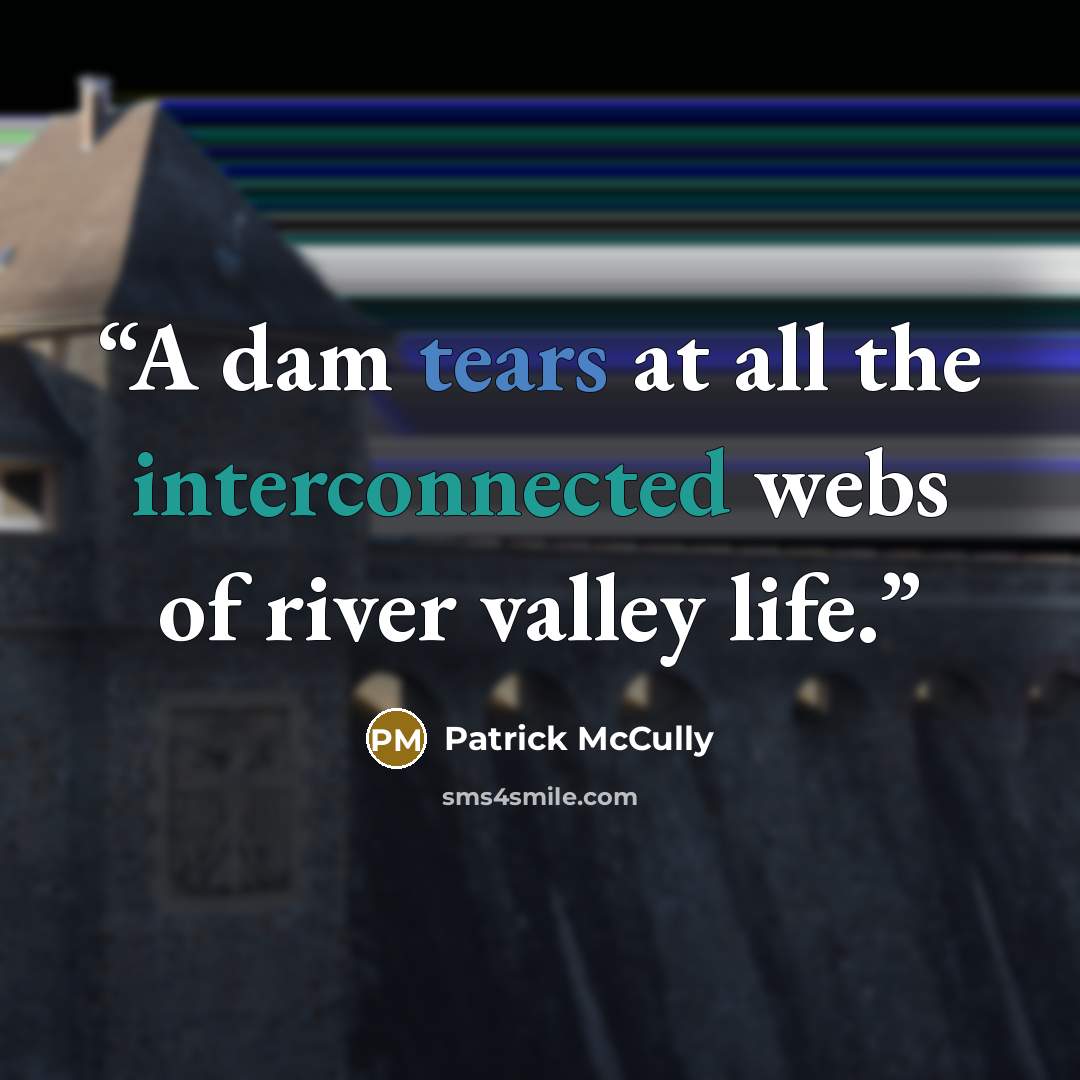 “A dam tears at all the interconnected webs of river valley life.” quote by Patrick McCully