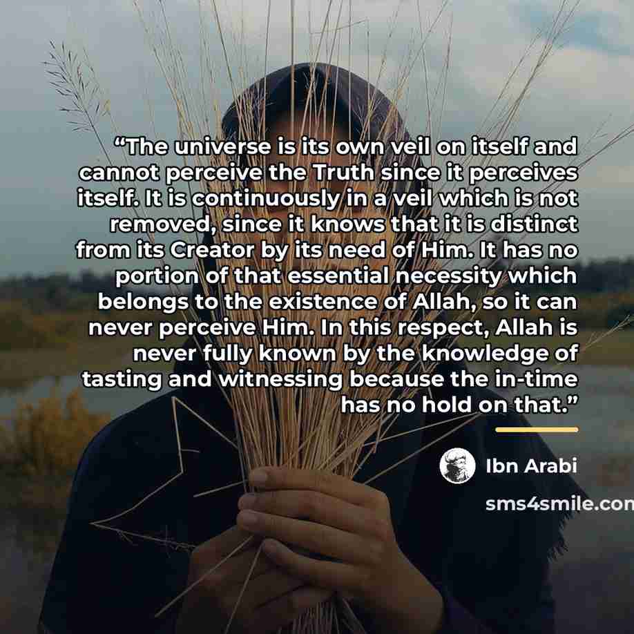 “The universe is its own veil on itself and cannot perceive the Truth since it perceives itself. It is continuously in a veil which is not removed, since it knows that it is distinct from its Creator by its need of Him. It has no portion of that essential necessity which belongs to the existence of…” quote by Ibn Arabi